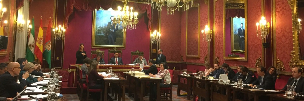 Objetivo: Pleno de Organización Objetivo: Pleno de Organización