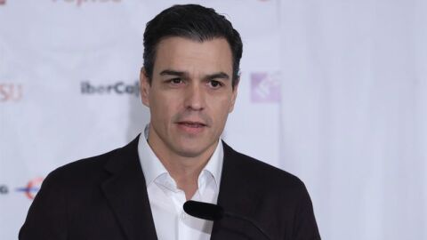 Pedro S&aacute;nchez
