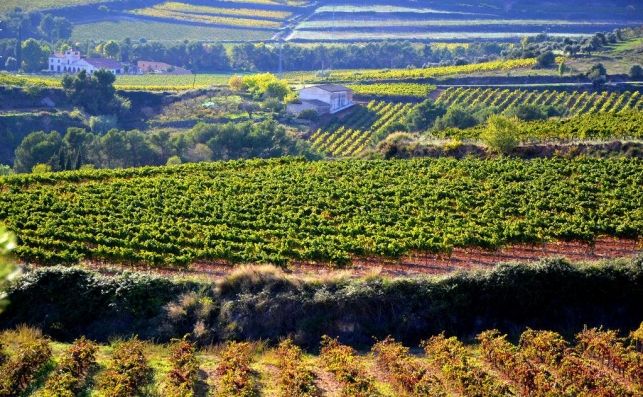 Más de Uno Álava ( 8:20) 21/10/2022 Más de Uno Álava ( 8:20) 21/10/2022