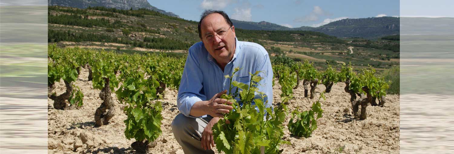La Bodega Carlos Moro, líder en innovación La Bodega Carlos Moro, líder en innovación