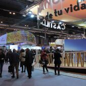FITUR
