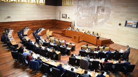 Sesi&oacute;n Plenaria