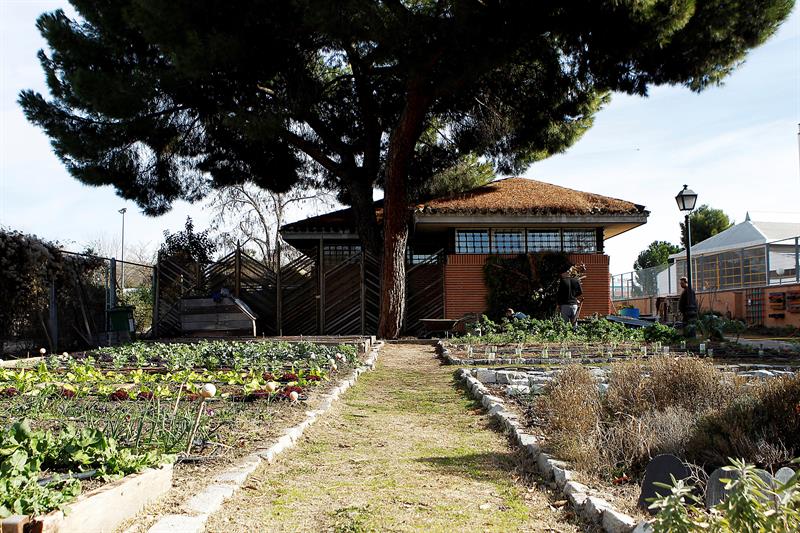 Los huertos urbanos sin control, un riesgo para la salud por la contaminación Los huertos urbanos sin control, un riesgo para la salud por la contaminación