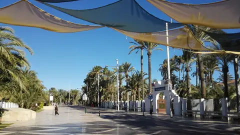 Paseo de la Estación de Elche Paseo de la Estación de Elche