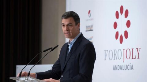 Pedro S&aacute;nchez