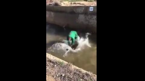 El hombre ahogando al jabal&iacute;
