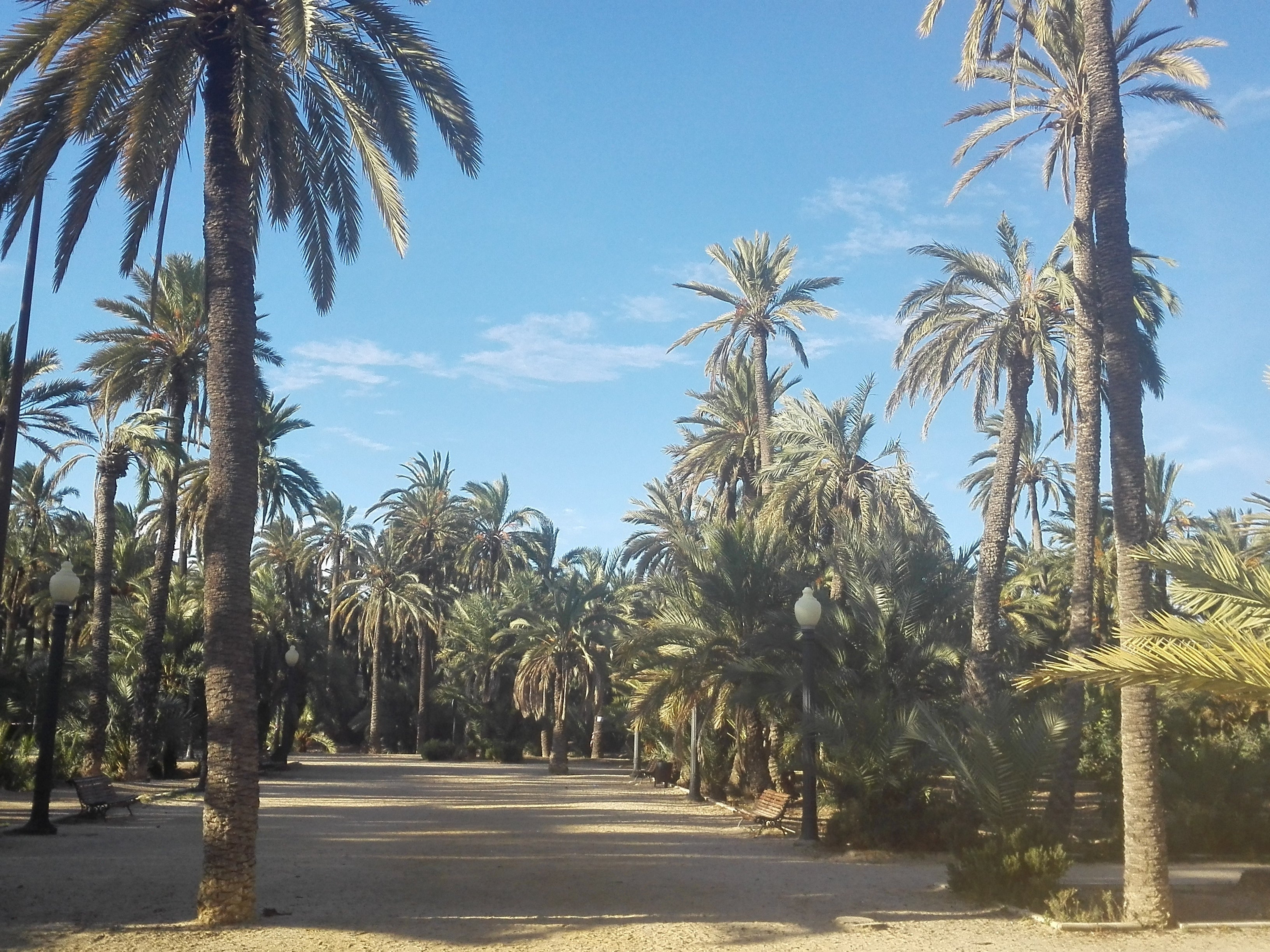 El fin de semana llega a Elche, Crevillent y Santa Pola con sol, temperaturas primaverales el sábado y en descenso el domingo El fin de semana llega a Elche, Crevillent y Santa Pola con sol, temperaturas primaverales el sábado y en descenso el domingo