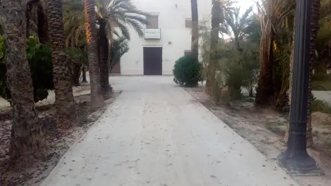 Camino de acceso a la sede de la Asociación Parkinson Elche Camino de acceso a la sede de la Asociación Parkinson Elche