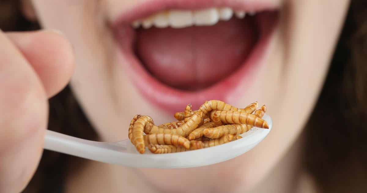 La consulta médica: La nueva moda de alimentarse con insectos La consulta médica: La nueva moda de alimentarse con insectos