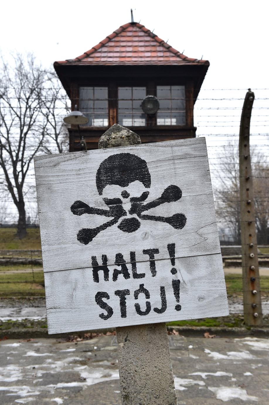 La Amical de Mathausen en Extremadura rinde homenaje a los deportados extremeños a los campos de concentración nazis La Amical de Mathausen en Extremadura rinde homenaje a los deportados extremeños a los campos de concentración nazis