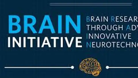 Brain Initiative Brain Initiative