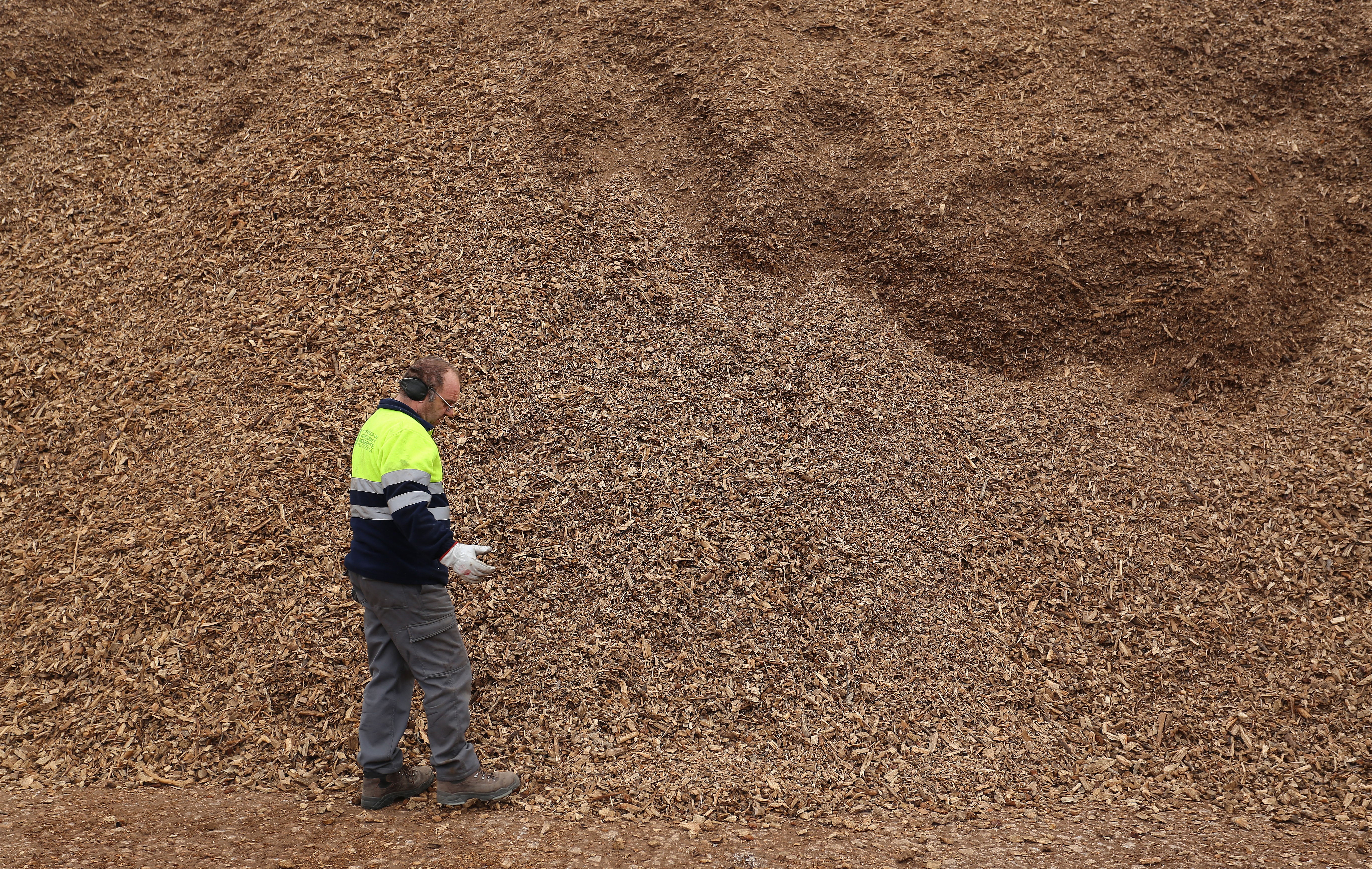 Se complica la construcción de plantas de biomasa en la provincia de Palencia Se complica la construcción de plantas de biomasa en la provincia de Palencia