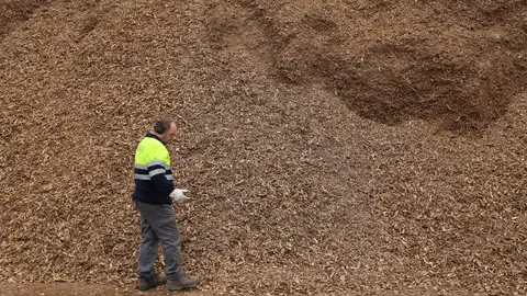 Operario prepara las astillas para la caldera de biomasa del circuito municipal de calor del ayuntamiento de Cuéllar Operario prepara las astillas para la caldera de biomasa del circuito municipal de calor del ayuntamiento de Cuéllar