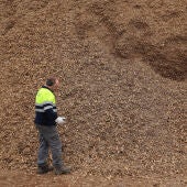 Operario prepara las astillas para la caldera de biomasa del circuito municipal de calor del ayuntamiento de Cuéllar