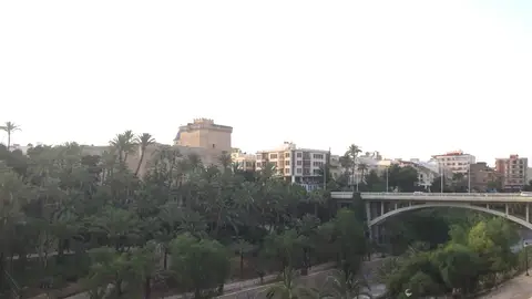 Ladera del río Vinalopó de Elche Ladera del río Vinalopó de Elche