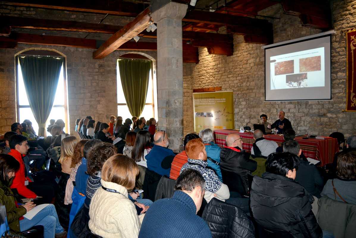 Morella la Vella es protagonista de la jornada del Seminario sobre el arte rupestre Morella la Vella es protagonista de la jornada del Seminario sobre el arte rupestre