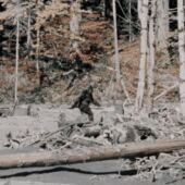 Supuesta imagen capturada del BigFoot