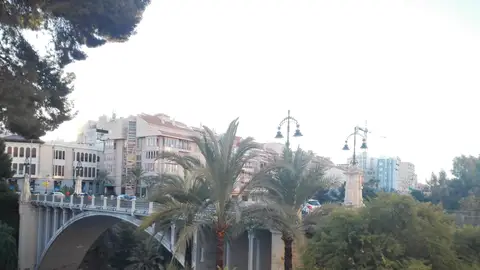 Elche Elche