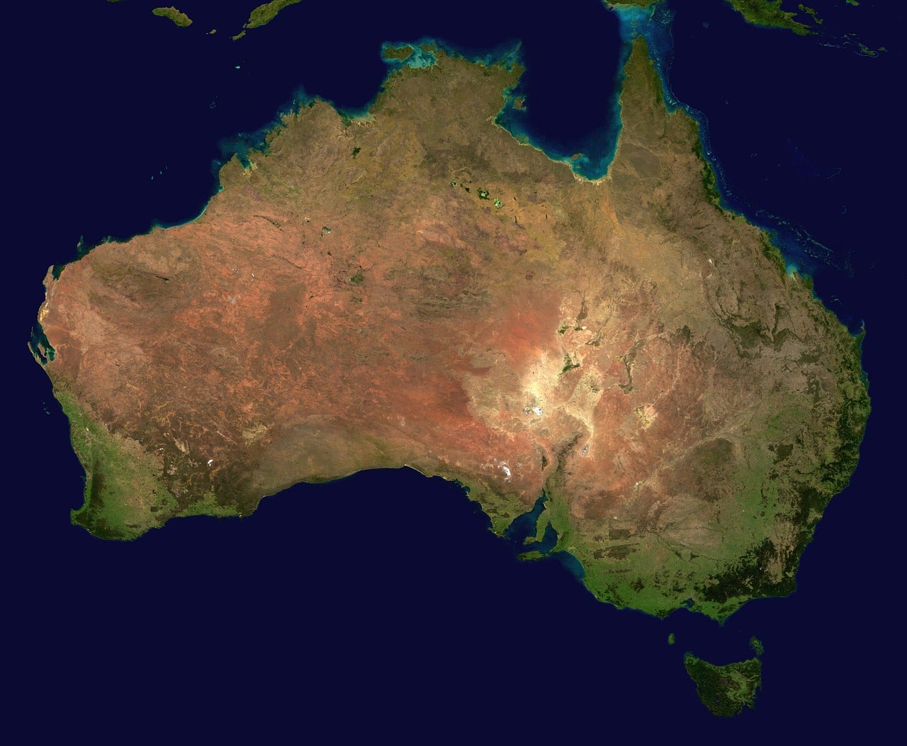 Tarka, el maluro soberbio de Australia: "De vez en cuando, para darle chispa a esa vida, nos damos un homenaje extraconyugal" Tarka, el maluro soberbio de Australia: "De vez en cuando, para darle chispa a esa vida, nos damos un homenaje extraconyugal"