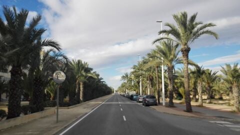 Avenida de la Universidad de Elche