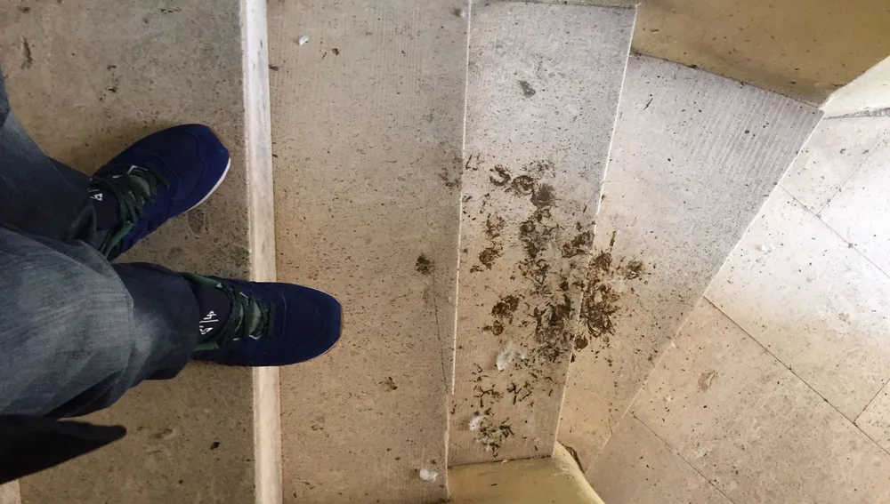 Suciedad en las escaleras de uno de los torreones del Palacio de Altamira de Elche Suciedad en las escaleras de uno de los torreones del Palacio de Altamira de Elche