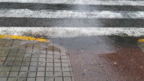 Charco junto a uno de los accesos al Jard&iacute;n de Andaluc&iacute;a de Elche