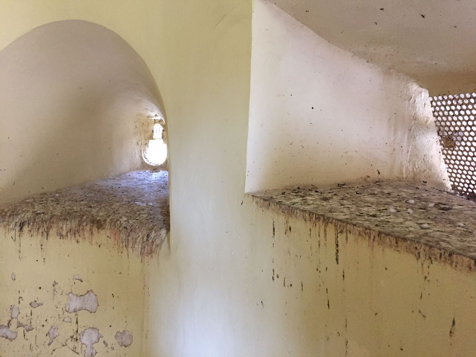 Ilicitanos por Elche denuncia la falta de mantenimiento en zonas del MAHE Ilicitanos por Elche denuncia la falta de mantenimiento en zonas del MAHE