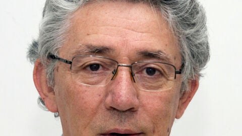 Periodista