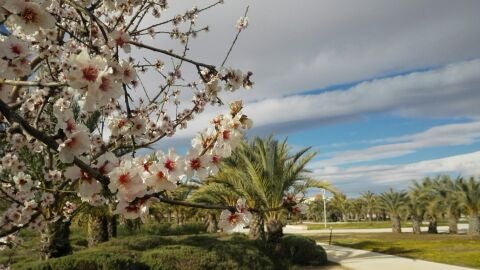 Campus de Elche de la Universidad Miguel Hern&aacute;ndez 