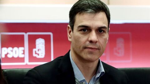 Pedro S&aacute;nchez