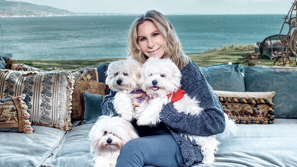 Divulga que algo queda: Barbra Streisand clona a su perra fallecida Divulga que algo queda: Barbra Streisand clona a su perra fallecida