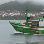 Tras los pasos de pescadores furtivos de pulpo: así funciona este lucrativo negocio negro en Galicia