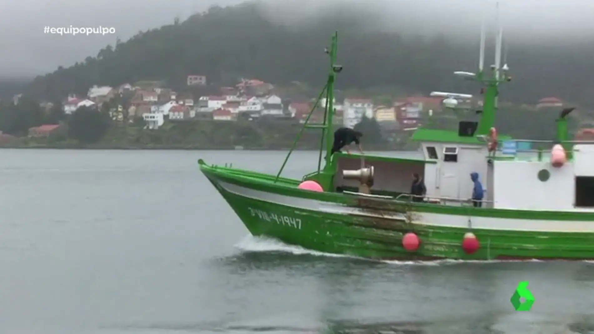 Tras los pasos de pescadores furtivos de pulpo: así funciona este lucrativo negocio negro en Galicia