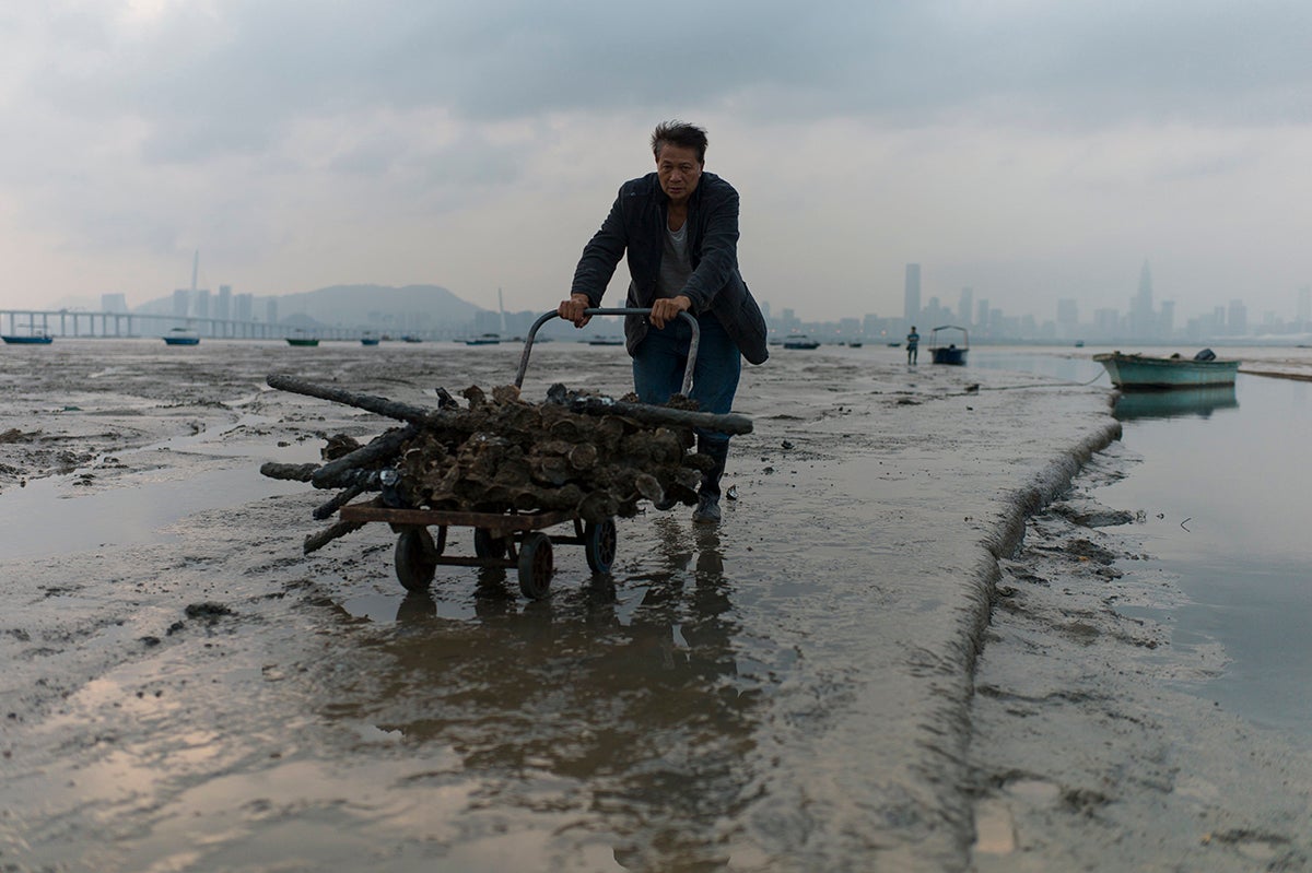 La comunitat científica: "No cal ser tan dràstics" La comunitat científica: "No cal ser tan dràstics"