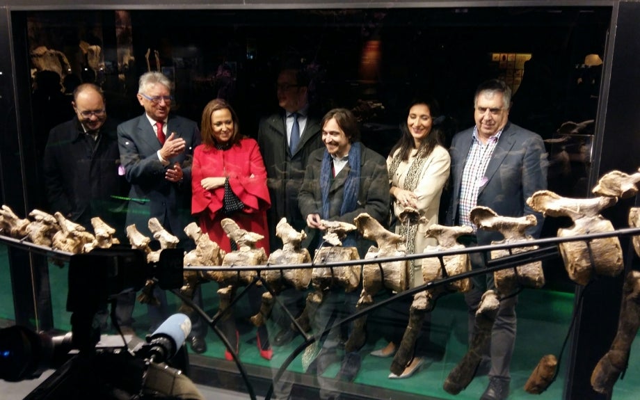 Dinópolis exhibirá la mayor cantidad de fósiles originales de Europa Dinópolis exhibirá la mayor cantidad de fósiles originales de Europa