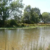 Río Bullaque Río Bullaque