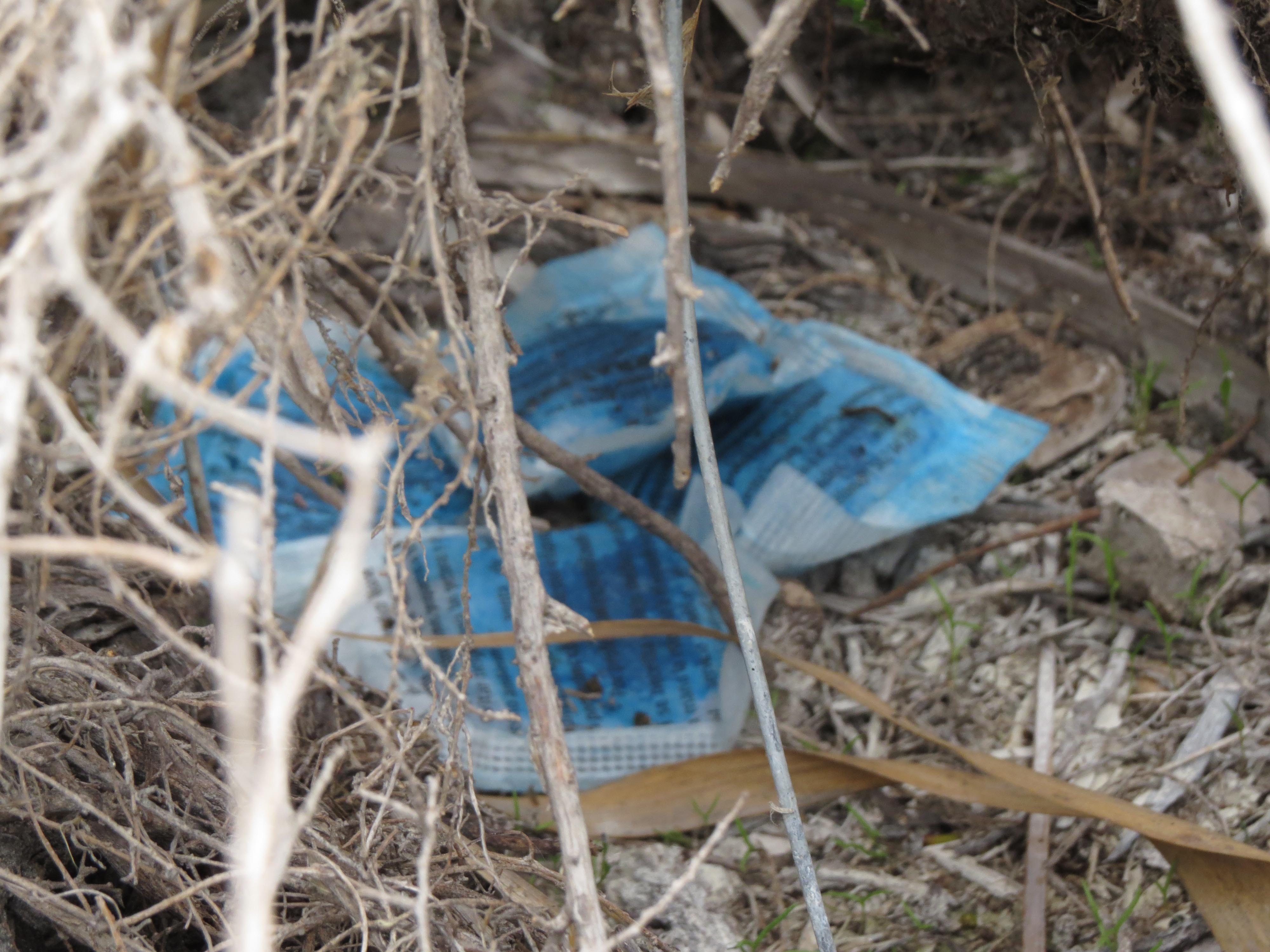 AHSA denuncia al SEPRONA el uso de raticida en una charca de Los Carrizales de Elche AHSA denuncia al SEPRONA el uso de raticida en una charca de Los Carrizales de Elche