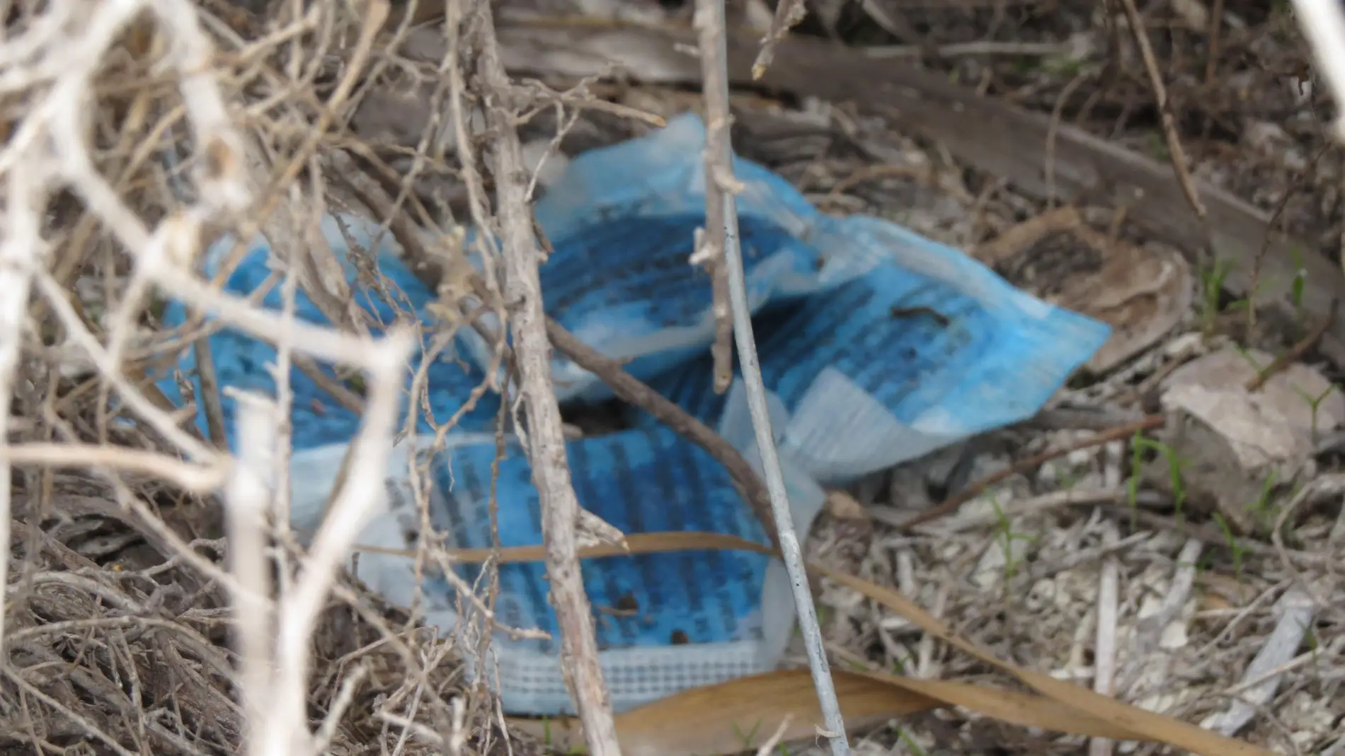 Una de las bolsas con restos de raticida encontradas