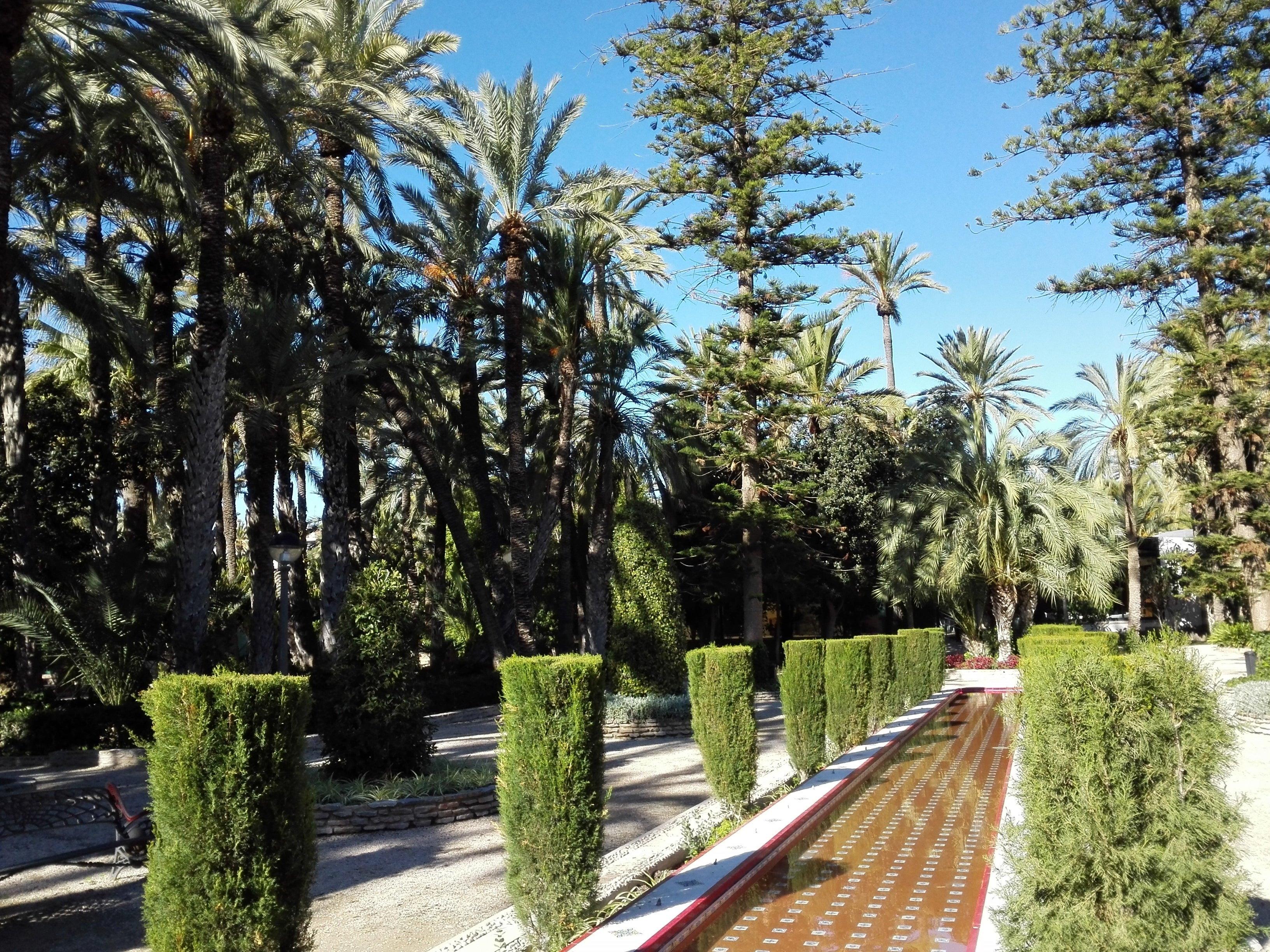 El mes de julio se despide de Elche, Crevillent y Santa Pola con calima y temperaturas máximas en ascenso El mes de julio se despide de Elche, Crevillent y Santa Pola con calima y temperaturas máximas en ascenso