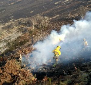 Incendio Forestal en Cantabria Incendio Forestal en Cantabria