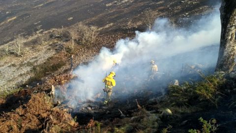 Brigada de los BRIF de Ruente trabajando un foco activo