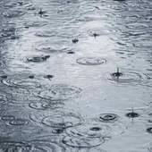 "Claudia" dejó buenas cantidades de agua en algunas localidades de Ciudad Real "Claudia" dejó buenas cantidades de agua en algunas localidades de Ciudad Real