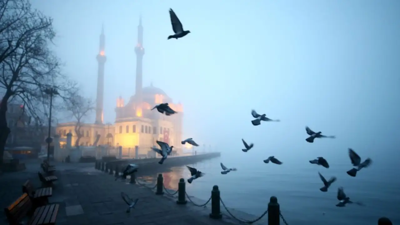 Sobrevolando Estambul (13-03-2018) Sobrevolando Estambul (13-03-2018)