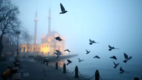Sobrevolando Estambul (13-03-2018) Las palomas vuelan sobre el Bósforo, en Estambul, Turquía