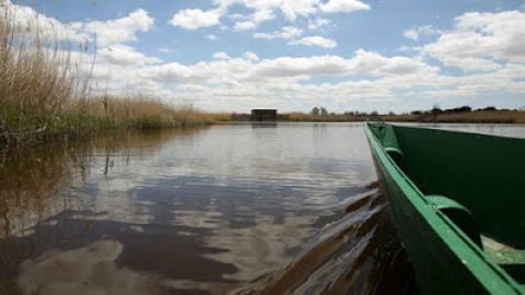 Parque Nacional de las Tablas de Daimiel