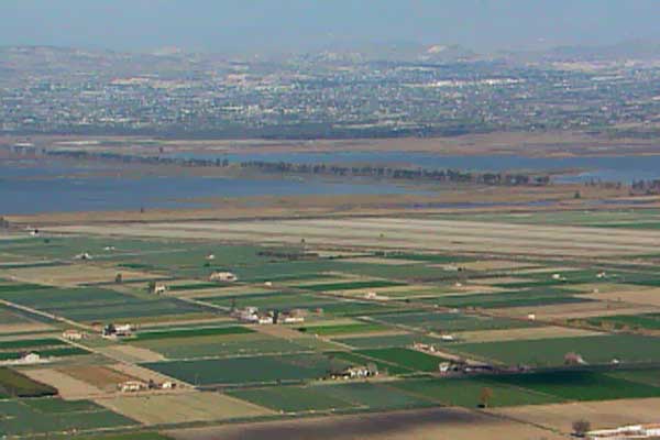 La Confederación Hidrográfica del Segura valida la adjudicación de la construcción de la desalobradora de Riegos de Levante La Confederación Hidrográfica del Segura valida la adjudicación de la construcción de la desalobradora de Riegos de Levante