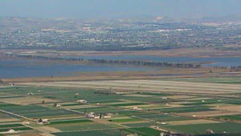Imagen de los dos embalses de El Hondo (Poniente y Levante) y de los cultivos que los rodean