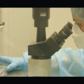 Un modelo predice que la tuberculosis aumentara en el futuro