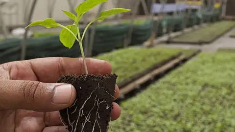 El proyecto 'Renovables 7 Islas' de alumnos de FP, ganador del programa TuCREA El proyecto 'Renovables 7 Islas' de alumnos de FP, ganador del programa TuCREA