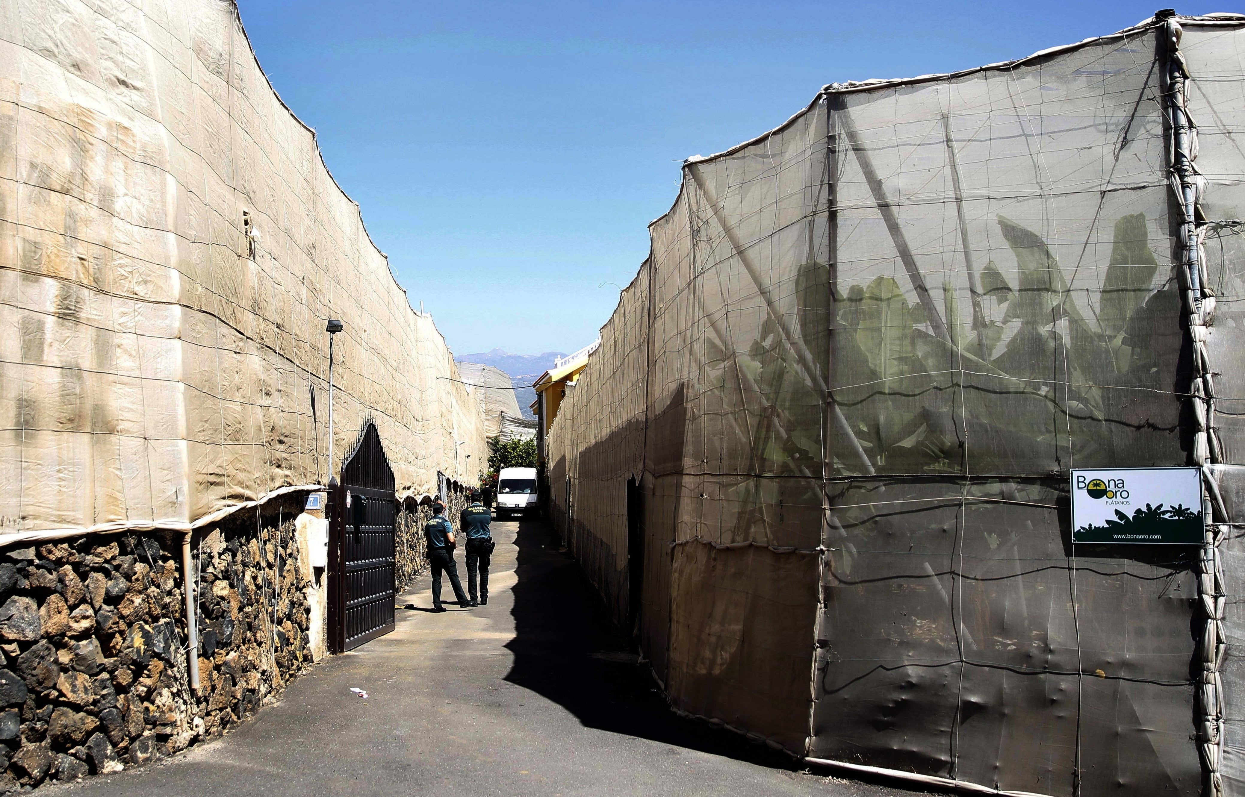 Prisión sin fianza para el acusado de matar a sus padres y abuelo en Tenerife Prisión sin fianza para el acusado de matar a sus padres y abuelo en Tenerife